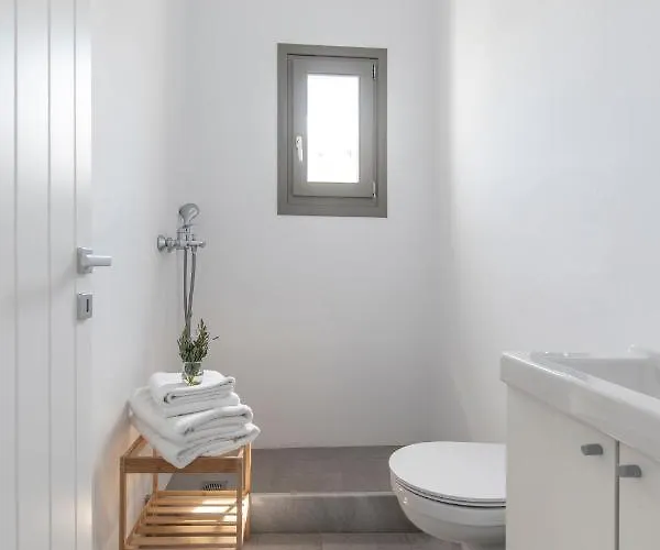 宾馆 Twelve Plus+ 纳乌萨